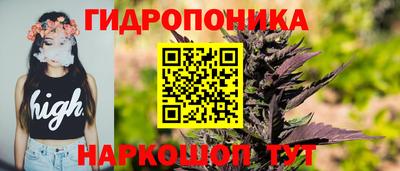 PSILOCYBIN Кулебаки