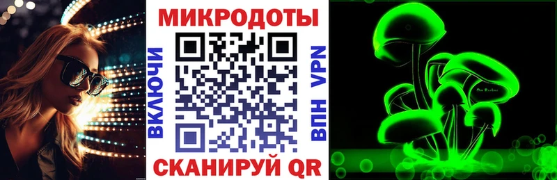наркотики  Избербаш  Галлюциногенные грибы Cubensis 
